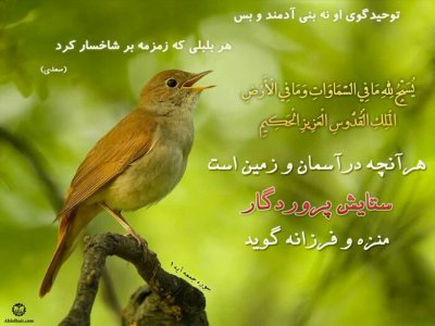 یک آیه قرآن