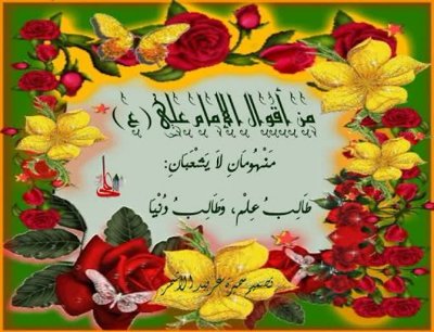 دو گروه که سیری نا پذیرند